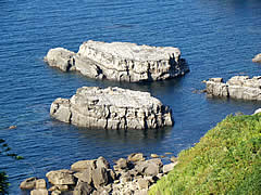 夫婦岩と象に似た岩