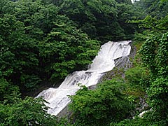 男女滝の画像