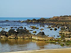 大島海岸の岩場の画像