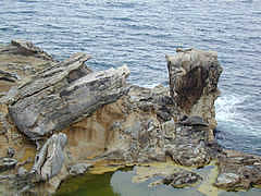 関野鼻のかぶと岩の画像