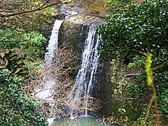双龍の滝の画像