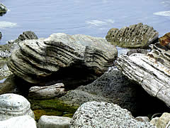仁江海岸の奇岩の画像