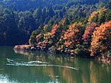 漆谷池の紅葉の画像