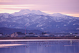 河北潟の日の出