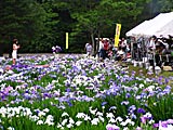 柳田村植物公園の画像