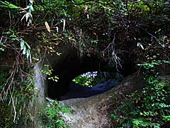 額谷石切り場跡途中の洞窟の画像