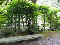 尾山神社の庭園の画像
