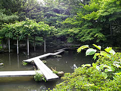 尾山神社の庭園の画像