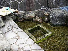 桜生水の湧き水の画像