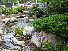 桜生水の画像