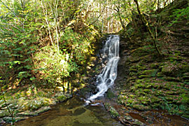岩窟滝の画像