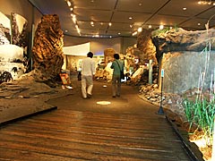 滋賀県立琵琶湖博物館の琵琶湖のおいたち展示室の画像