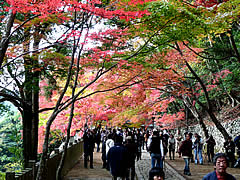 永源寺の紅葉の画像