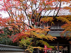 永源寺の紅葉の画像