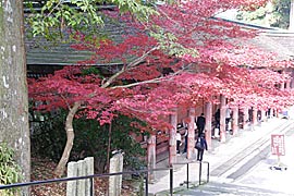 比叡山延暦寺の紅葉の画像