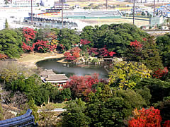 彦根城の紅葉の画像