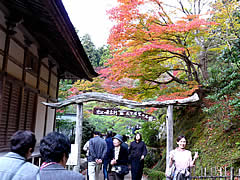 百済寺の紅葉の画像
