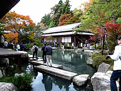 百済寺の紅葉の画像