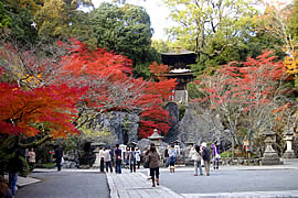 石山寺の紅葉の画像