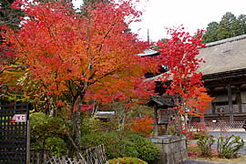 常楽寺の紅葉の画像