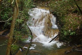 白神（しらがみ）の滝の画像