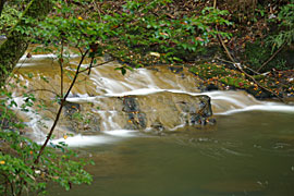 鶏鳴の滝の画像