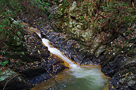 鶏鳴の滝の画像