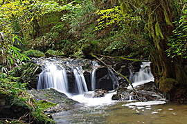 白布（はくふ）の滝の画像