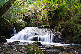 岩しだれの滝の画像