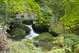 垂尾（しだりお）の滝の画像