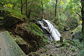 白蛇（はくじゃ）の滝の画像