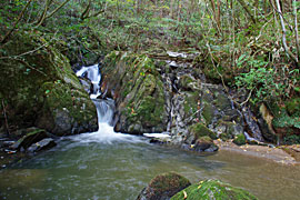 神有（かみあり）の滝の画像