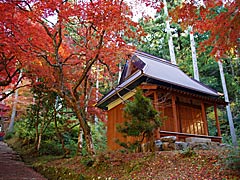 鶏足寺の紅葉の画像