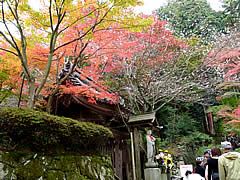 金剛輪寺の紅葉の画像