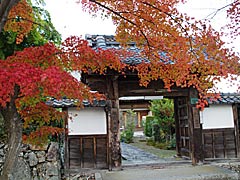 西教寺の紅葉の画像