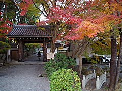 西教寺の紅葉の画像