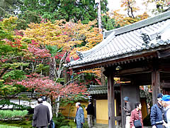 西明寺の紅葉の画像