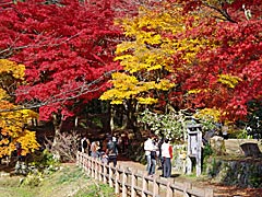 石道寺の紅葉の画像