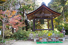 長寿寺の紅葉の画像