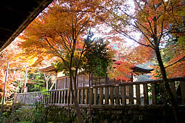 長寿寺の紅葉の画像