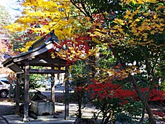 式内與志漏神社の紅葉の画像