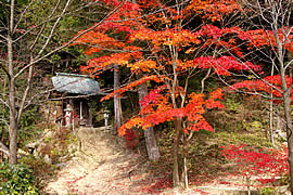 善水寺の紅葉の画像