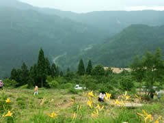 西山高山植物順化試験地からの風景の画像