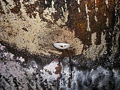 辰巳用水のタンコロ穴の灯の画像
