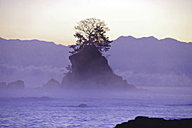 雨晴海岸の毛嵐