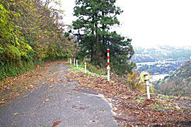 庵谷峠の展望台から見た神通峡の画像