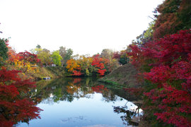 高岡古城公園の紅葉