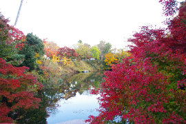 高岡古城公園の紅葉