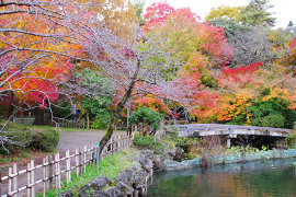 高岡古城公園の紅葉