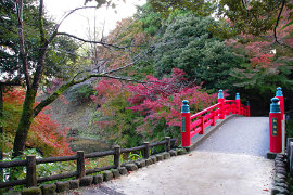 高岡古城公園の紅葉